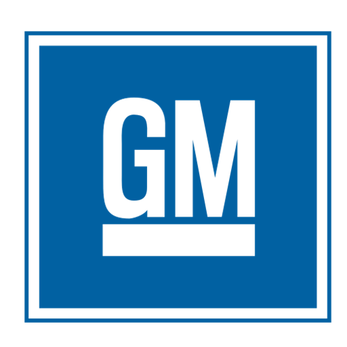 GM Online Programming